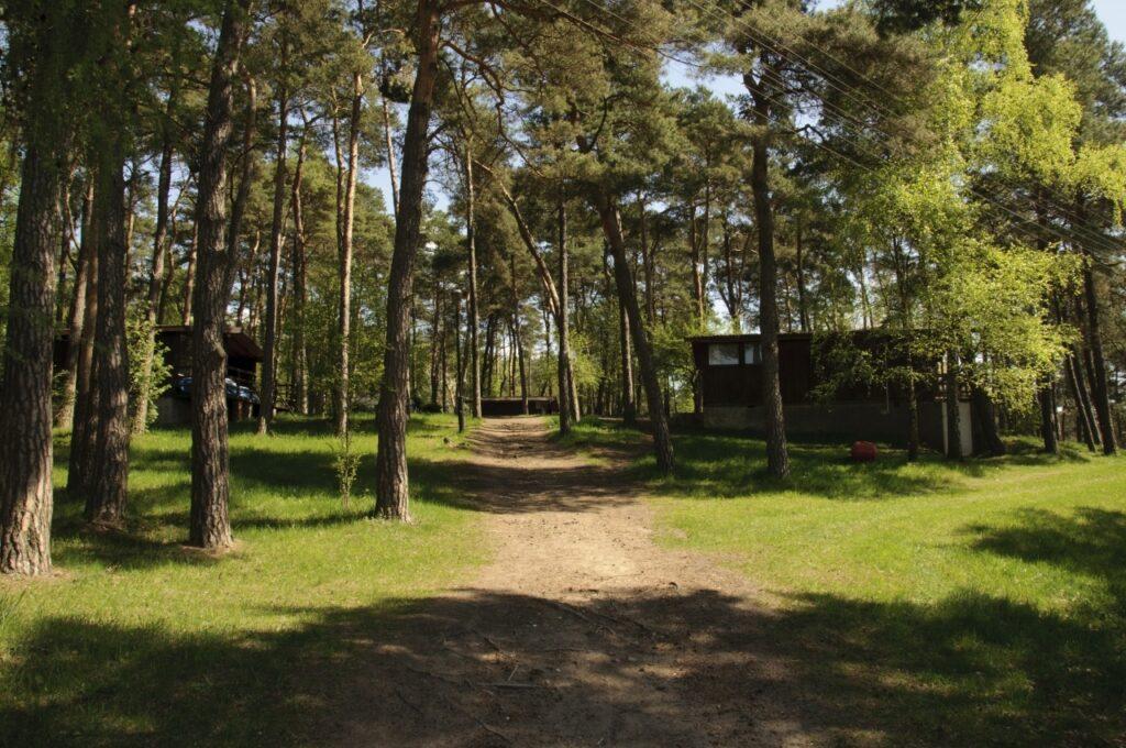 las- Ośrodek Róża Wiatrów