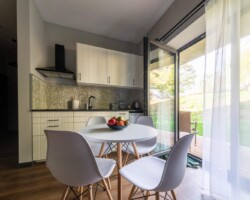 Ośrodek Róża Wiatrów w Węgorzewie - studio z aneksem kuchennym wyjście do ogrodu