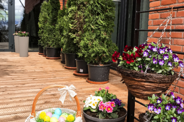 Gemini_Generated_Image_hf6361hf6361hf63